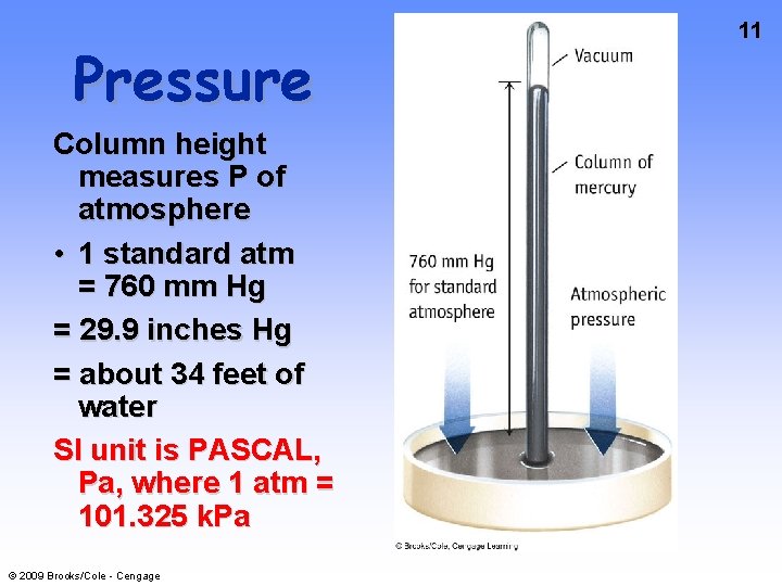 Pressure Column height measures P of atmosphere • 1 standard atm = 760 mm