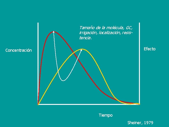 Tamaño de la molécula, GC, irrigación, localización, resistencia. Efecto Concentración Tiempo Sheiner, 1979 