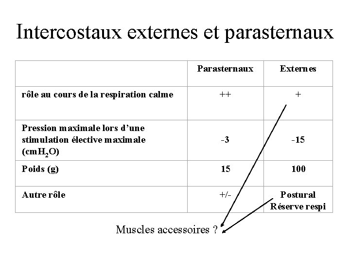 Intercostaux externes et parasternaux Parasternaux Externes rôle au cours de la respiration calme ++