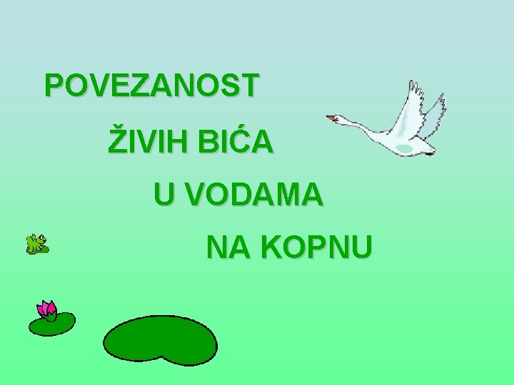 POVEZANOST ŽIVIH BIĆA U VODAMA NA KOPNU 