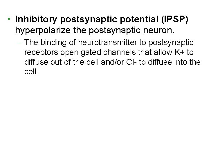  • Inhibitory postsynaptic potential (IPSP) hyperpolarize the postsynaptic neuron. – The binding of