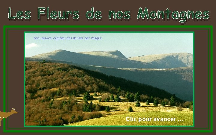 Les Fleurs de nos Montagnes Parc naturel régional des Ballons des Vosges Clic pour