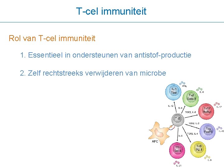 T-cel immuniteit Rol van T-cel immuniteit 1. Essentieel in ondersteunen van antistof-productie 2. Zelf