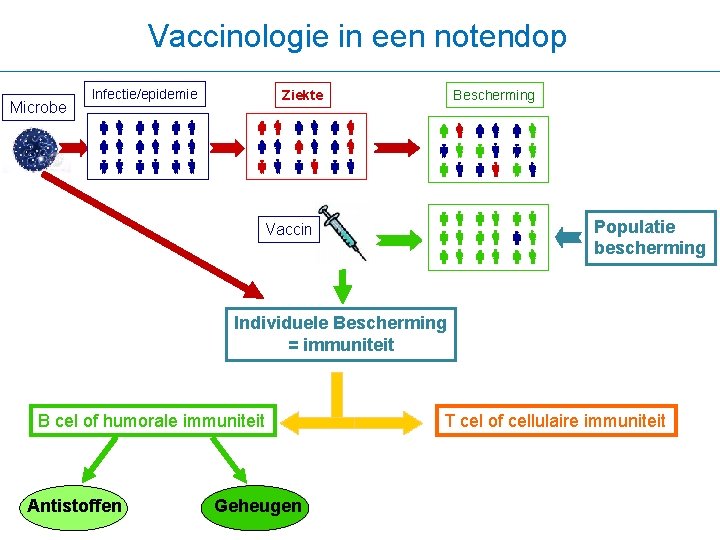 Vaccinologie in een notendop Microbe Infectie/epidemie Ziekte Vaccin Bescherming Populatie bescherming Individuele Bescherming =