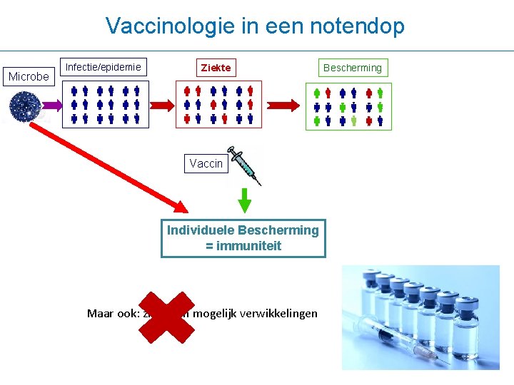 Vaccinologie in een notendop Microbe Infectie/epidemie Ziekte Bescherming Vaccin Individuele Bescherming = immuniteit Maar
