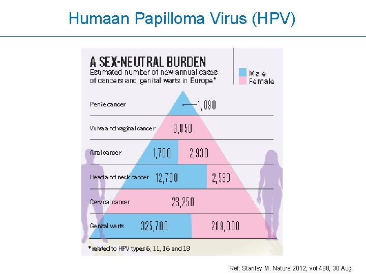 Humaan Papilloma Virus (HPV) Ref: Stanley M. Nature 2012; vol 488, 30 Aug 