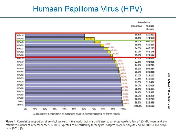 Ref: Arbyn et al, J Pathol 2014 Humaan Papilloma Virus (HPV) 