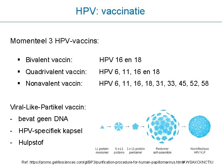 HPV: vaccinatie Momenteel 3 HPV-vaccins: § Bivalent vaccin: HPV 16 en 18 § Quadrivalent