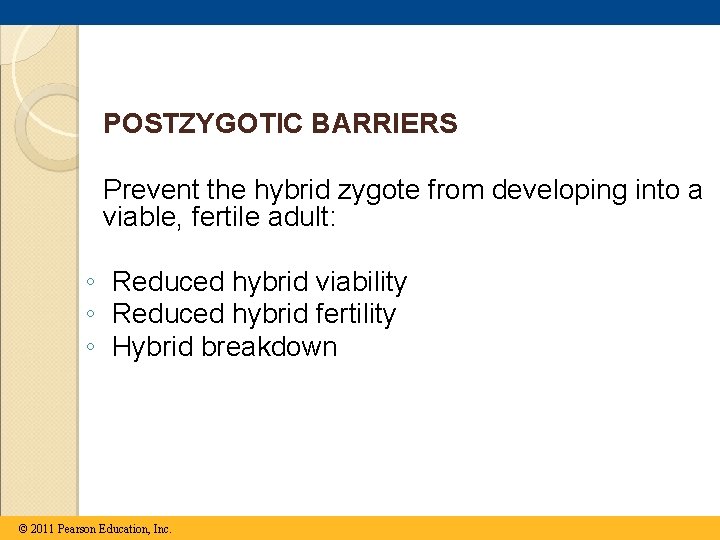 POSTZYGOTIC BARRIERS Prevent the hybrid zygote from developing into a viable, fertile adult: ◦