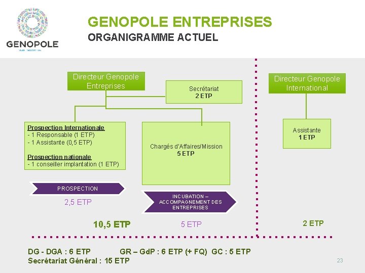 GENOPOLE ENTREPRISES ORGANIGRAMME ACTUEL Directeur Genopole Entreprises Prospection Internationale - 1 Responsable (1 ETP)