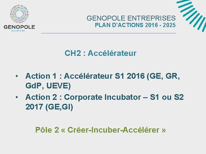 GENOPOLE ENTREPRISES PLAN D’ACTIONS 2016 - 2025 CH 2 : Accélérateur • Action 1