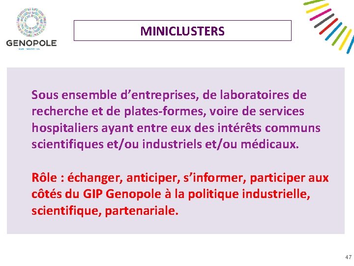 MINICLUSTERS Sous ensemble d’entreprises, de laboratoires de recherche et de plates-formes, voire de services