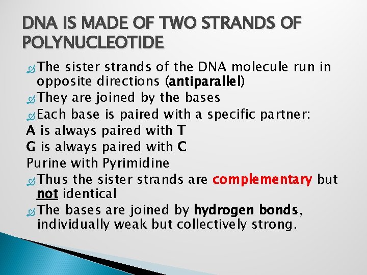 DNA IS MADE OF TWO STRANDS OF POLYNUCLEOTIDE The sister strands of the DNA