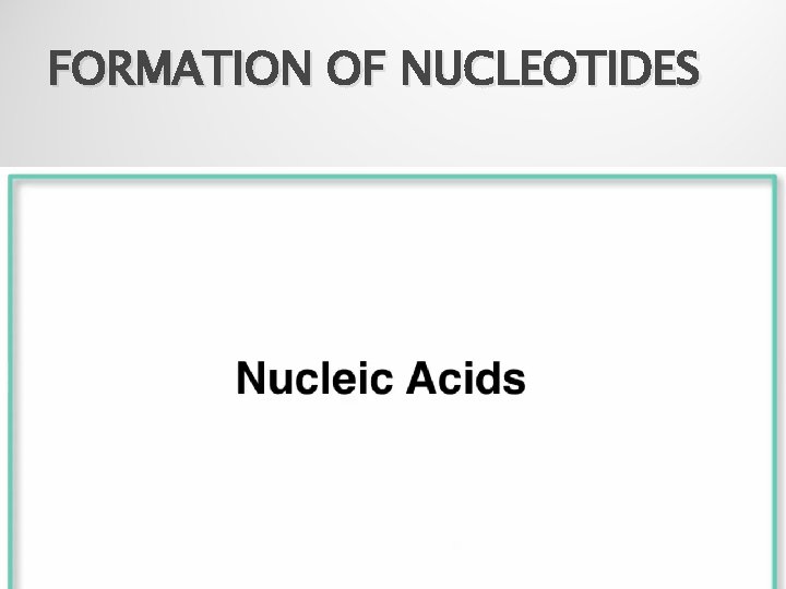 FORMATION OF NUCLEOTIDES 