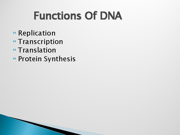 Functions Of DNA Replication Transcription Translation Protein Synthesis 