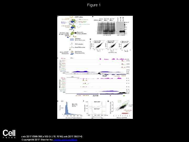 Figure 1 cels 2017 5368 -385. e 15 DOI: (10. 1016/j. cels. 2017. 09.