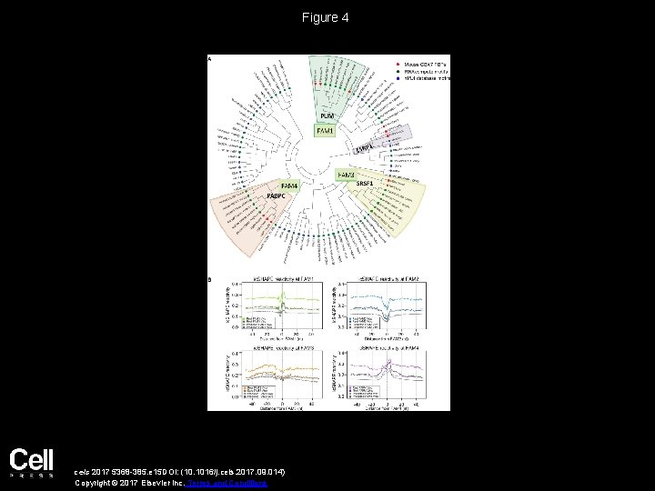 Figure 4 cels 2017 5368 -385. e 15 DOI: (10. 1016/j. cels. 2017. 09.