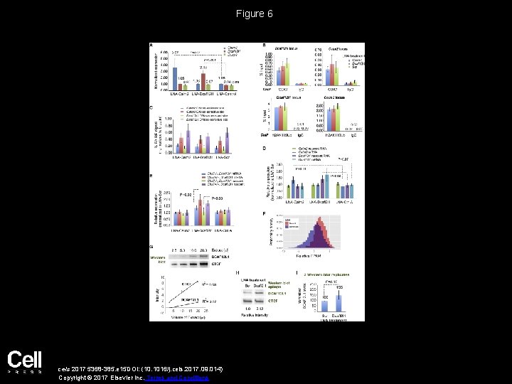 Figure 6 cels 2017 5368 -385. e 15 DOI: (10. 1016/j. cels. 2017. 09.