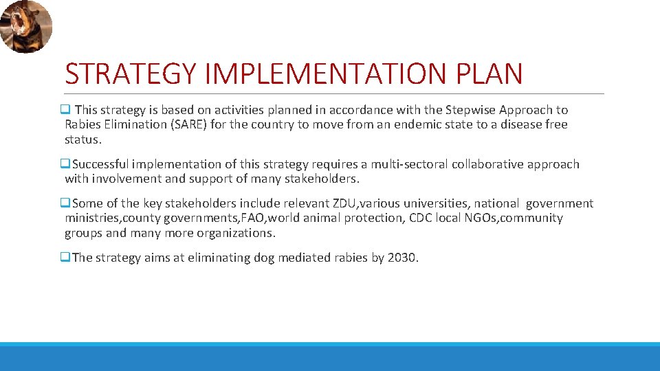 IMPLEMENTING RABIES CONTROL STRATEGY IN A DEVOLVED GOVERNMENT