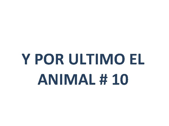 Y POR ULTIMO EL ANIMAL # 10 