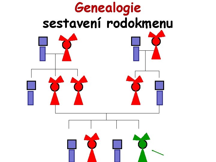 Genealogie sestavení rodokmenu 