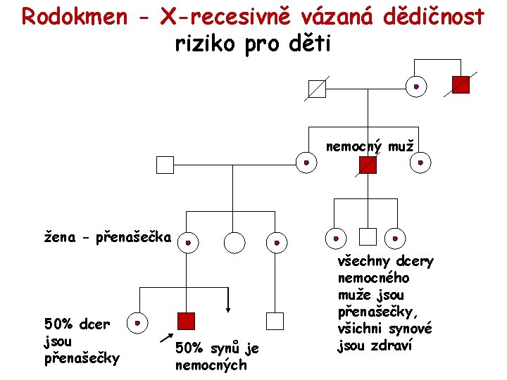 Rodokmen - X-recesivně vázaná dědičnost riziko pro děti nemocný muž žena - přenašečka 50%