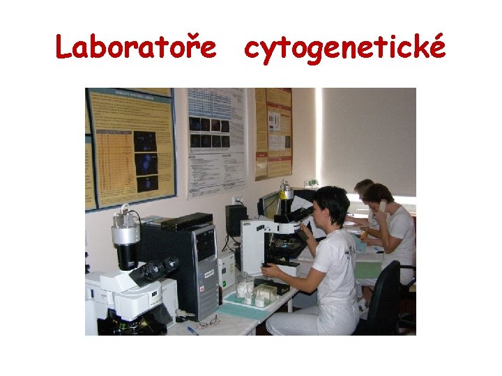 Laboratoře cytogenetické 