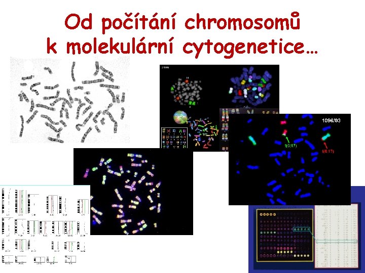 Od počítání chromosomů k molekulární cytogenetice… 