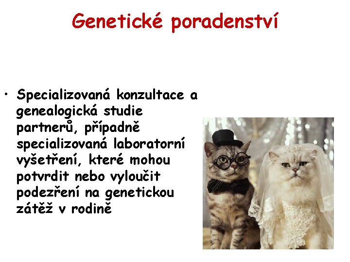 Genetické poradenství • Specializovaná konzultace a genealogická studie partnerů, případně specializovaná laboratorní vyšetření, které