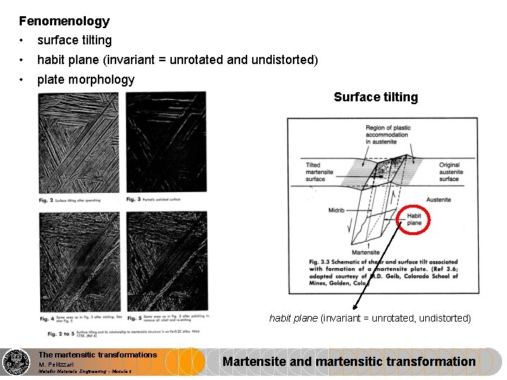 Fenomenology • • • surface tilting habit plane (invariant = unrotated and undistorted) plate