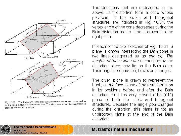 The directions that are undistorted in the above Bain distortion form a cone whose