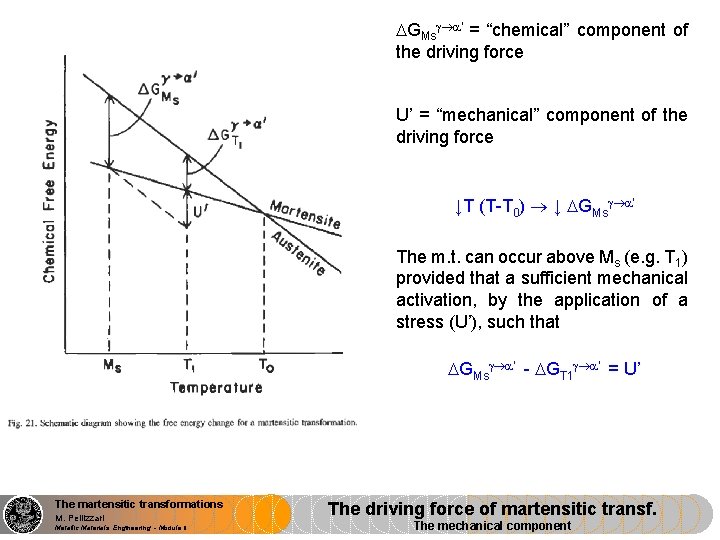  GMs ’ = “chemical” component of the driving force U’ = “mechanical” component