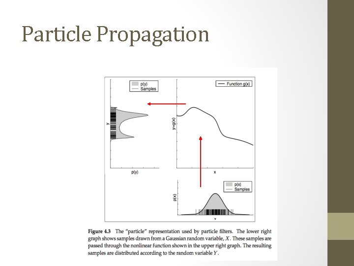 Particle Propagation 