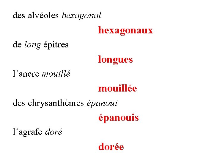 des alvéoles hexagonal hexagonaux de long épitres longues l’ancre mouillée des chrysanthèmes épanouis l’agrafe