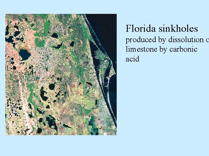 Florida sinkholes produced by dissolution o limestone by carbonic acid Florida sinkholes produced by dissolution o limestone by carbonic acid