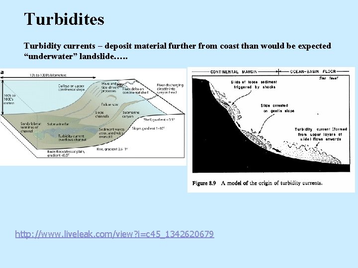 Turbidites Turbidity currents – deposit material further from coast than would be expected “underwater” Turbidites Turbidity currents – deposit material further from coast than would be expected “underwater”