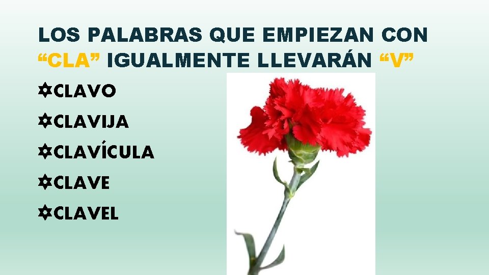 LOS PALABRAS QUE EMPIEZAN CON “CLA” IGUALMENTE LLEVARÁN “V” CLAVO CLAVIJA CLAVÍCULA CLAVEL 