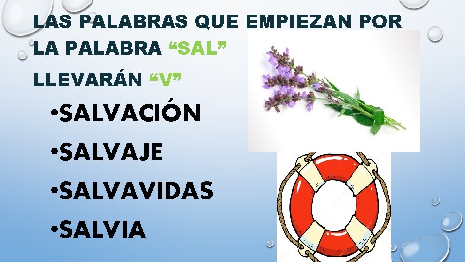 LAS PALABRAS QUE EMPIEZAN POR LA PALABRA “SAL” LLEVARÁN “V” • SALVACIÓN • SALVAJE