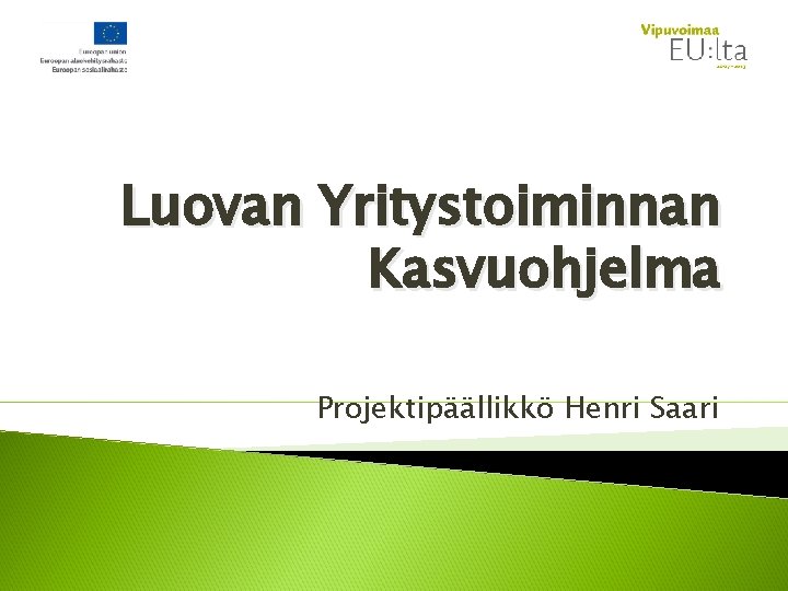 Luovan Yritystoiminnan Kasvuohjelma Projektipäällikkö Henri Saari 