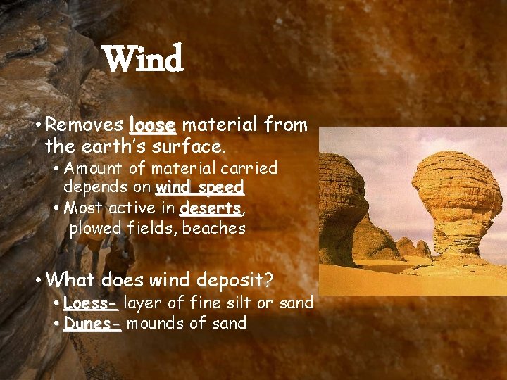 Wind • Removes loose material from the earth’s surface. • Amount of material carried