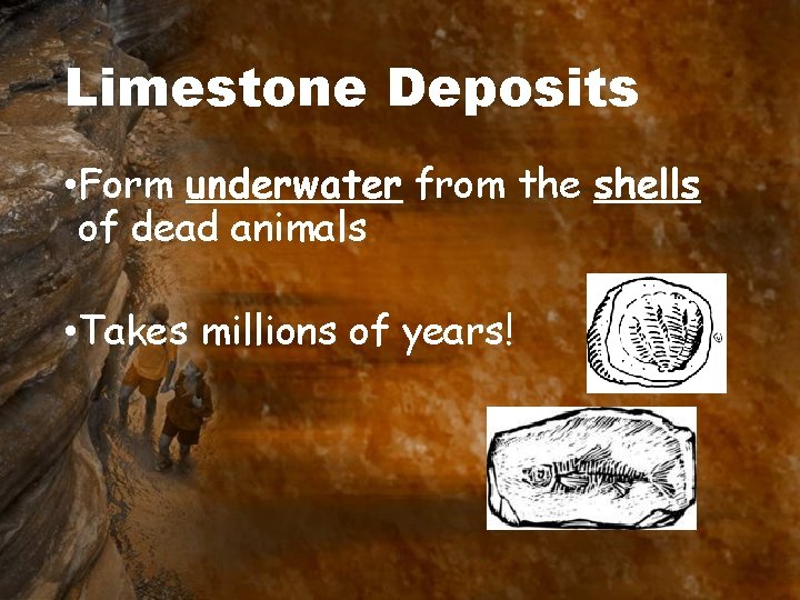 Limestone Deposits • Form underwater from the shells of dead animals • Takes millions