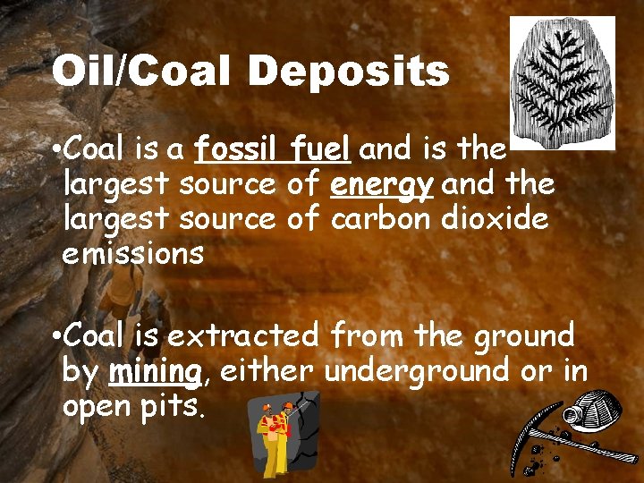 Oil/Coal Deposits • Coal is a fossil fuel and is the largest source of