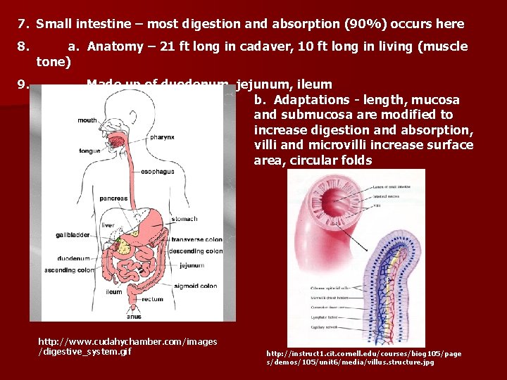 7. Small intestine – most digestion and absorption (90%) occurs here 8. 9. a.