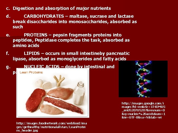 c. Digestion and absorption of major nutrients d. CARBOHYDRATES – maltase, sucrase and lactase