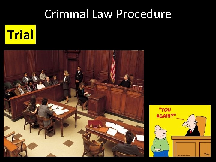 Criminal Law Procedure Trial 