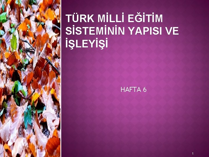 TÜRK MİLLİ EĞİTİM SİSTEMİNİN YAPISI VE İŞLEYİŞİ HAFTA 6 1 