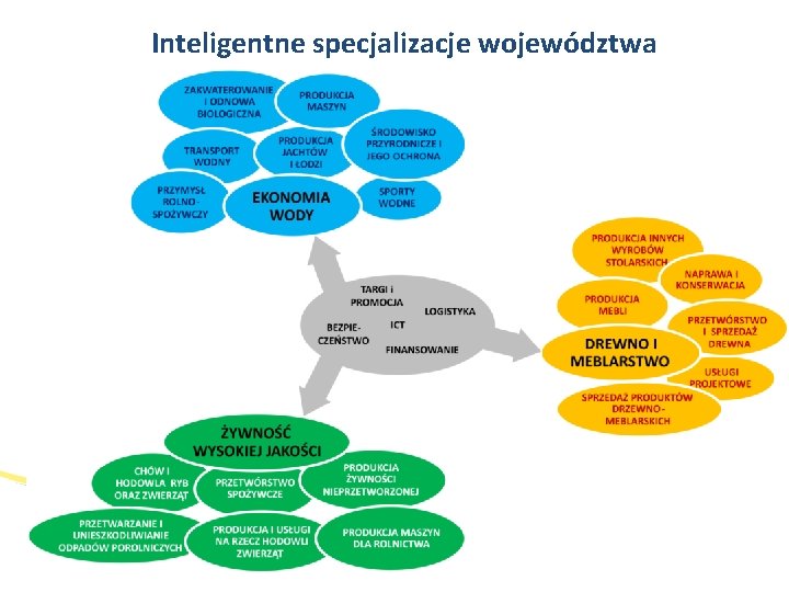 Inteligentne specjalizacje województwa 