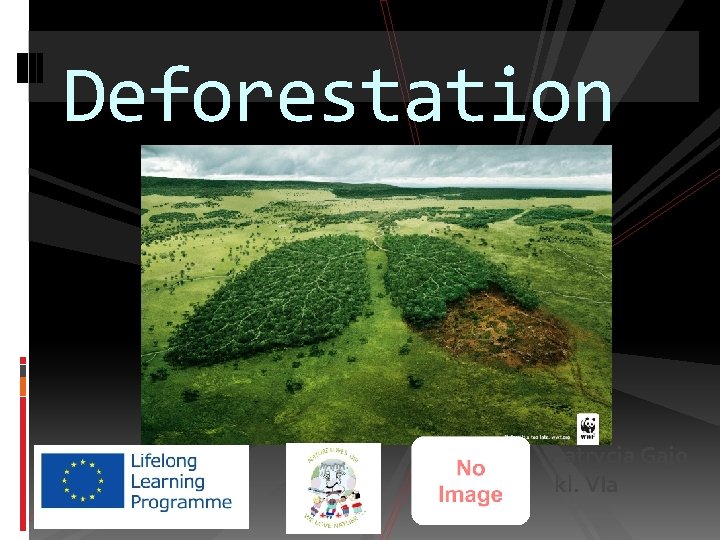 Deforestation Patrycja Gajo kl. VIa 