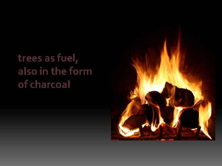 trees as fuel, also in the form of charcoal 