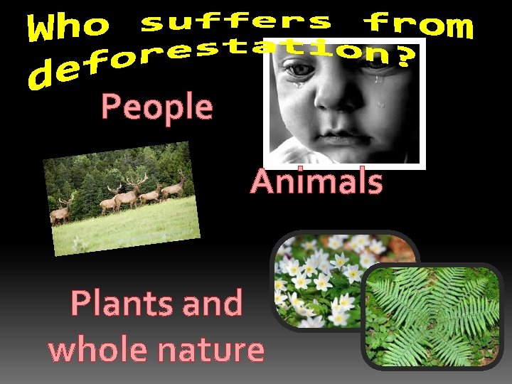 People Animals Plants and whole nature 